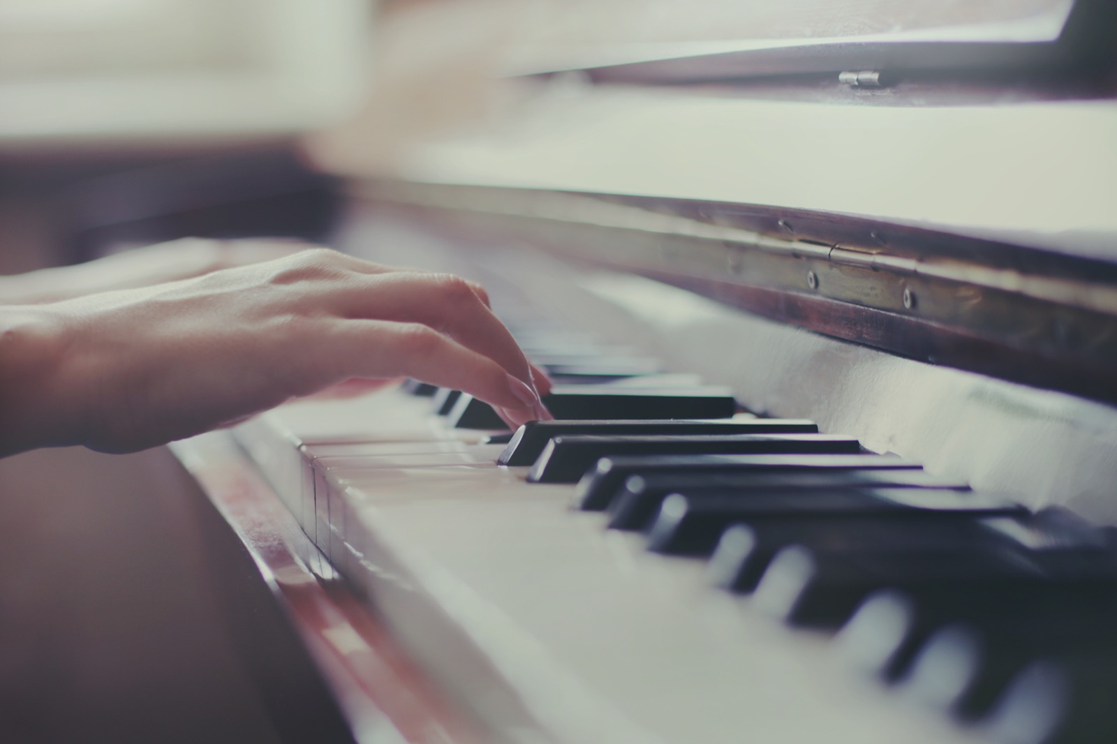 Close-up of piano keys